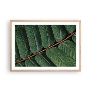 Poster in einem Rahmen aus heller Eiche - Im grünen Rhythmus - 70x50 cm
