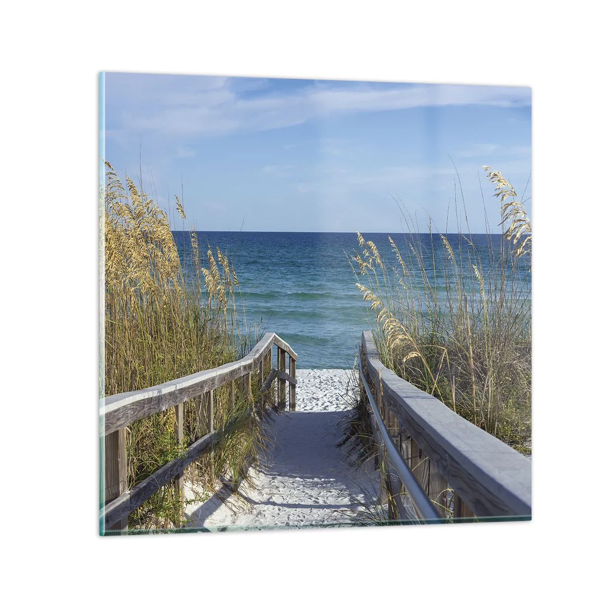 Glasbild - Bild auf glas - In der Sonne, im Wind - 40x40 cm