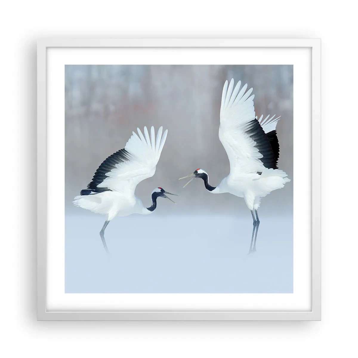 Poster in einem weißen Rahmen - Tanz im Nebel - 50x50 cm