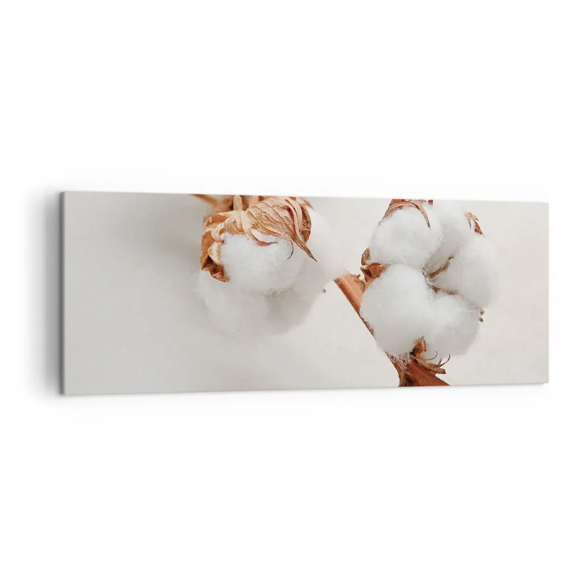 Bild auf Leinwand - Leinwandbild - Ein Zweig Baumwolle auf dezentem Untergrund - 140x50cm - Nur umarmen - Moderne Wanddekoration für Wohnzimmer und Schlafzimmer ARTTOR