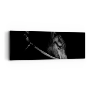 Bild auf Leinwand - Leinwandbild - Schwarzer Prinz - 90x30 cm