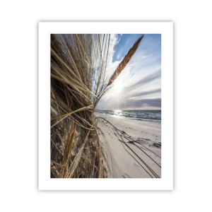 Poster - Ein Treffen der Elemente der Natur - 40x50 cm