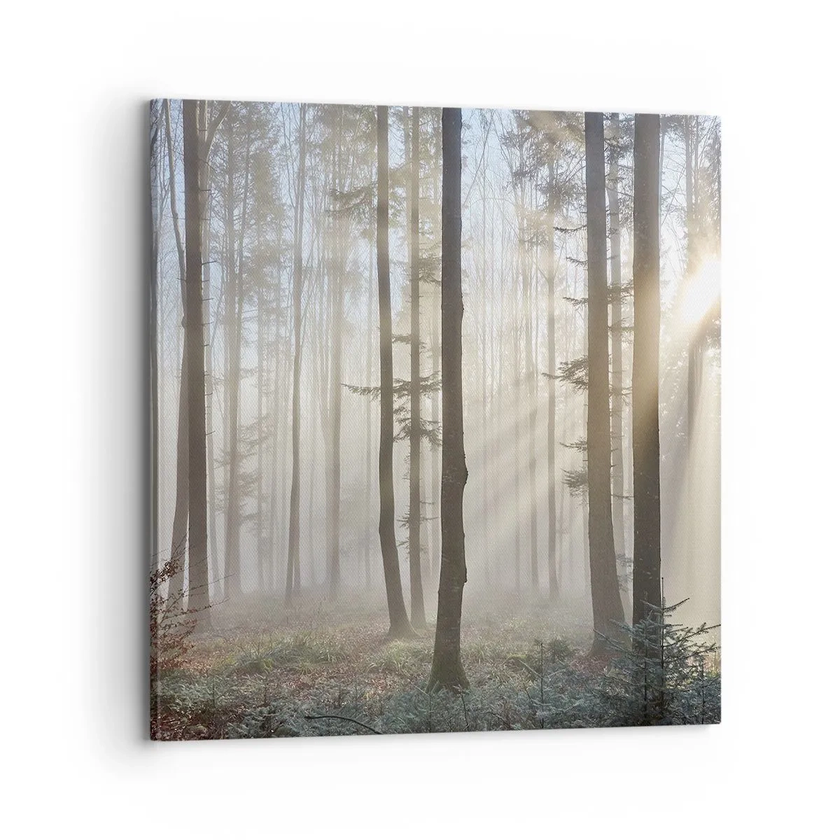 Bild auf Leinwand - Leinwandbild - Der Nebel ist auch aufgewacht - 70x70 cm