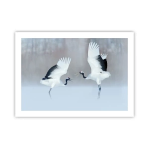 Poster - Tanz im Nebel - 70x50 cm