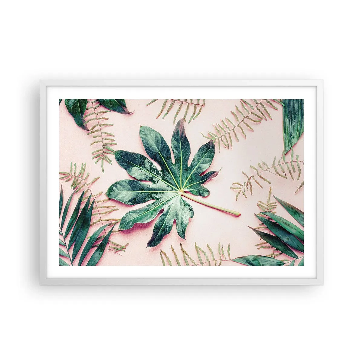 Poster in einem weißen Rahmen - Eine Studie von Grün auf einem rosa Hintergrund - 70x50 cm