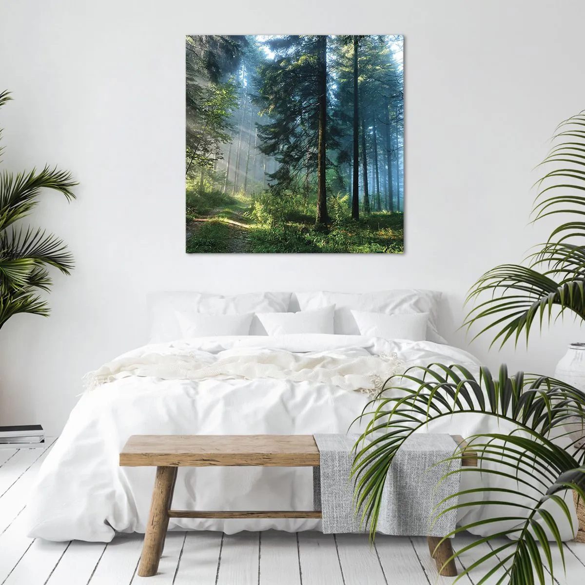 Bild auf Leinwand - Leinwandbild - Strahlend am Morgen - 50x50 cm