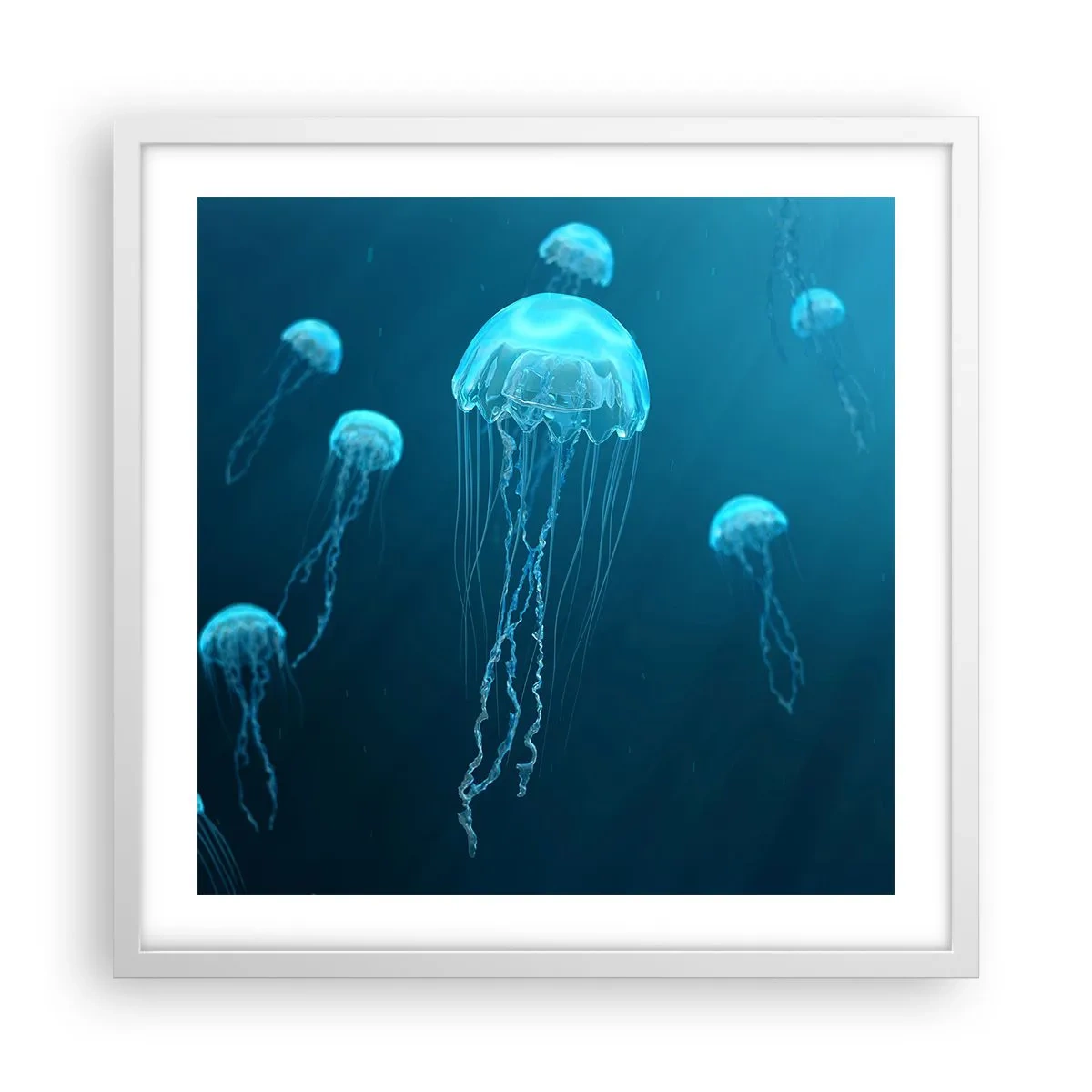 Poster in einem weißen Rahmen - Ozeantanz - 50x50 cm