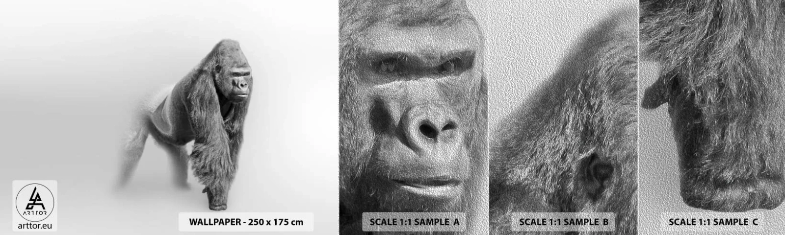 Fototapeten Muster Premium Sand - Zuversichtlich in seiner Stärke - Tiere, Gorilla, Affe - 100x30 cm