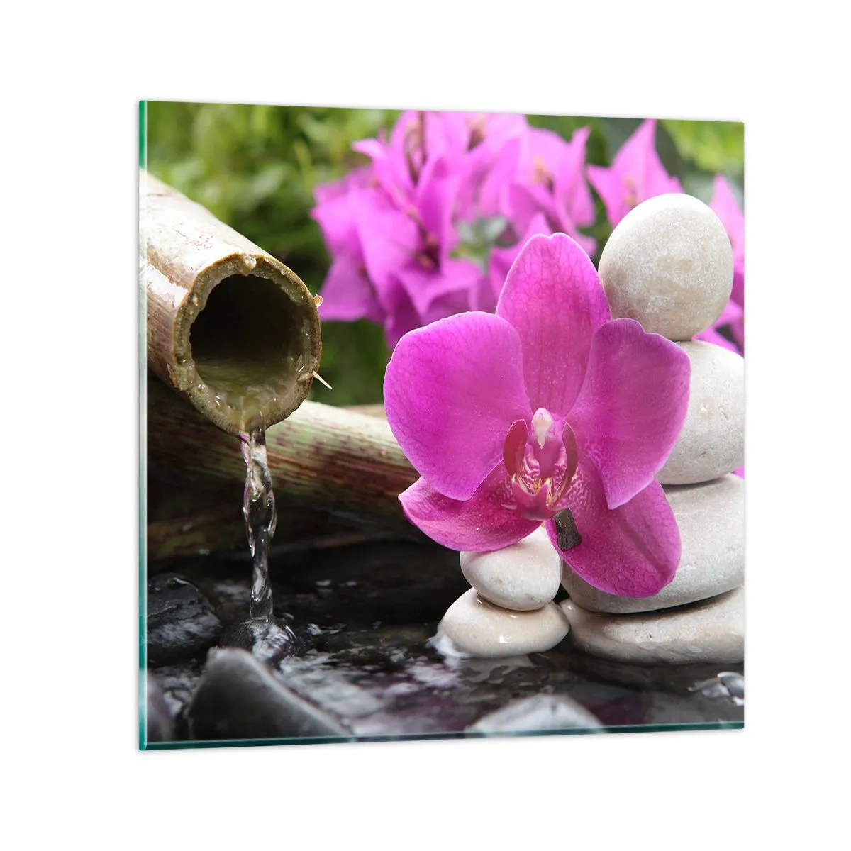 Glasbild - Bild auf glas - Du ruhst dich schon aus - 70x70 cm