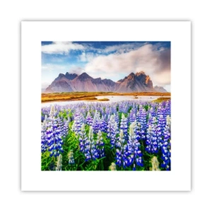 Poster - Kraft und Strenge neben Sanftmut - 30x30 cm