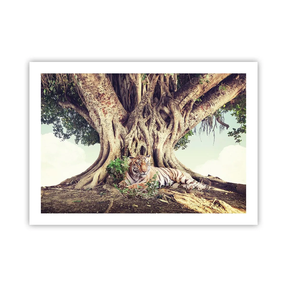 Poster - Blick aus dem Buch Genesis - 70x50 cm