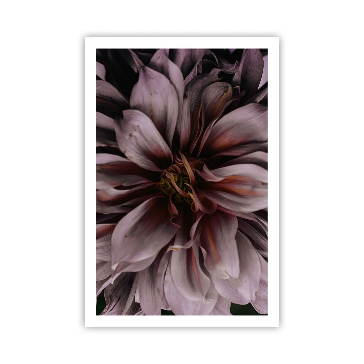 Poster - Ein Blumenherz - 61x91 cm