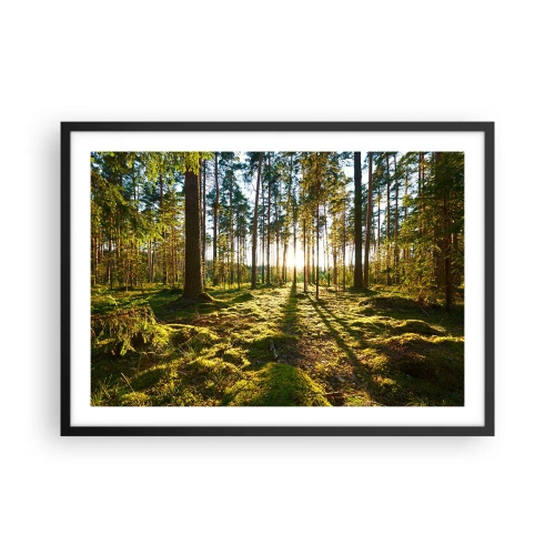 Poster in einem schwarzem Rahmen - Grüner Wald, beleuchtet durch Sonnenlicht auf dem Moos - 70x50cm - … Hinter den sieben Wäldern - Moderne Wanddekoration für Wohnzimmer und Schlafzimmer ARTTOR