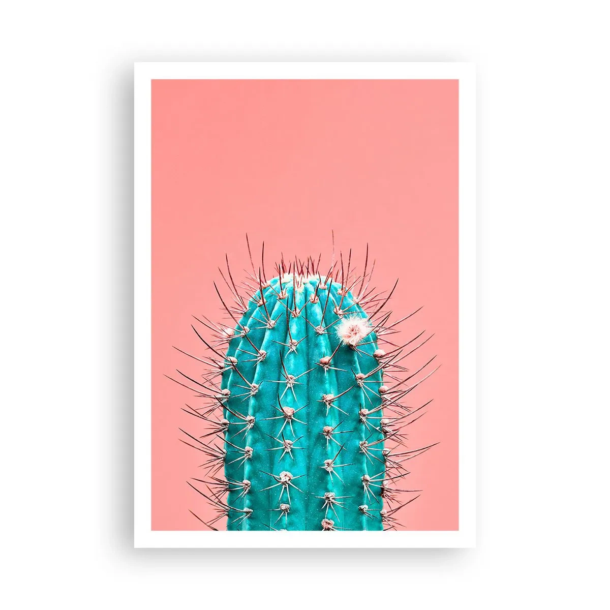 Poster - Schau einfach hin - 70x100 cm