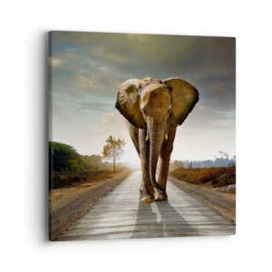 Bild auf Leinwand - Leinwandbild - Und schon gar nicht in einem Porzellanlager - 40x40 cm