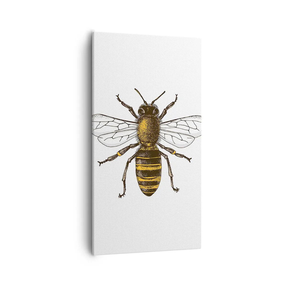 Bild auf Leinwand - Leinwandbild - Schön und gut - 55x100 cm