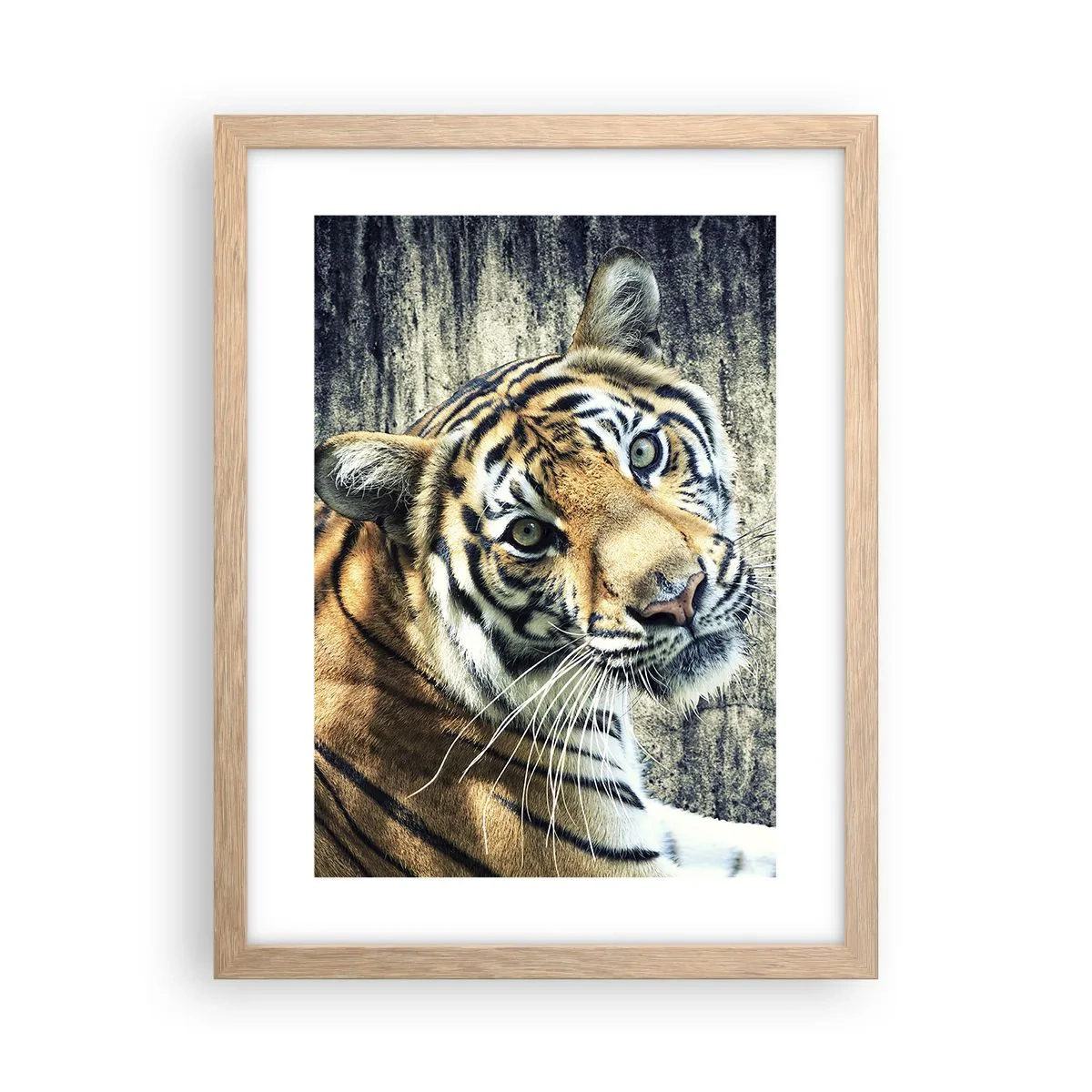 Poster in einem Rahmen aus heller Eiche - Portrait in Lichtstrahlen - 30x40 cm