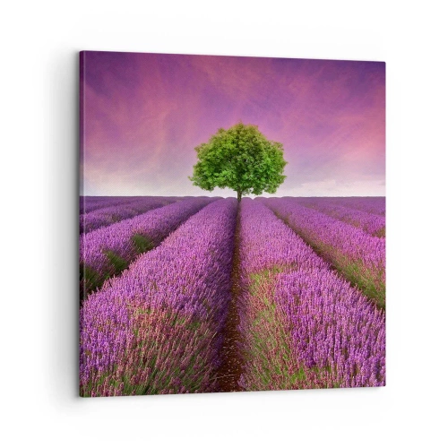 Bild auf Leinwand - Leinwandbild - Auf Lavendelfeldern - 60x60 cm