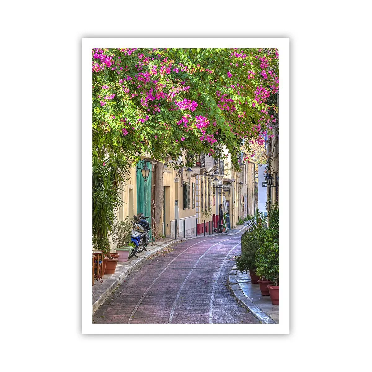 Poster - Blühende Gasse - 70x100 cm
