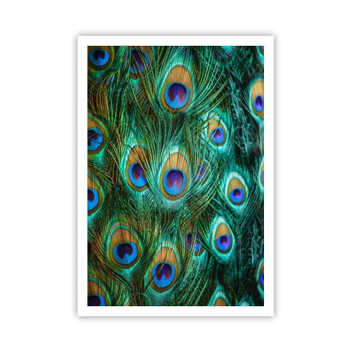 Poster - Ein Blick mit Pfauenaugen - 70x100 cm