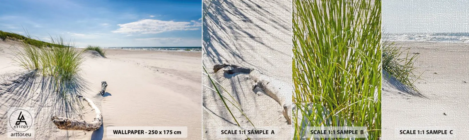 Fototapeten Muster Premium Canvas - Der schönste Strand? Ostsee-Strand - Meer, Strand, Düne - 100x30 cm