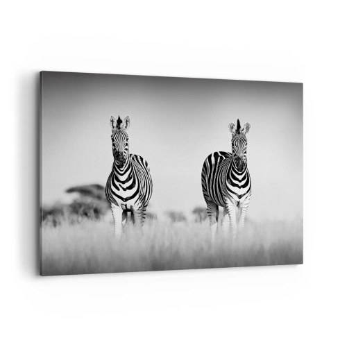 Bild auf Leinwand - Leinwandbild - Zwei Zebras in der Savanne im monochromen Stil - 120x80cm - Die Welt ist doch schwarz-weiß - Moderne Wanddekoration für Wohnzimmer und Schlafzimmer ARTTOR