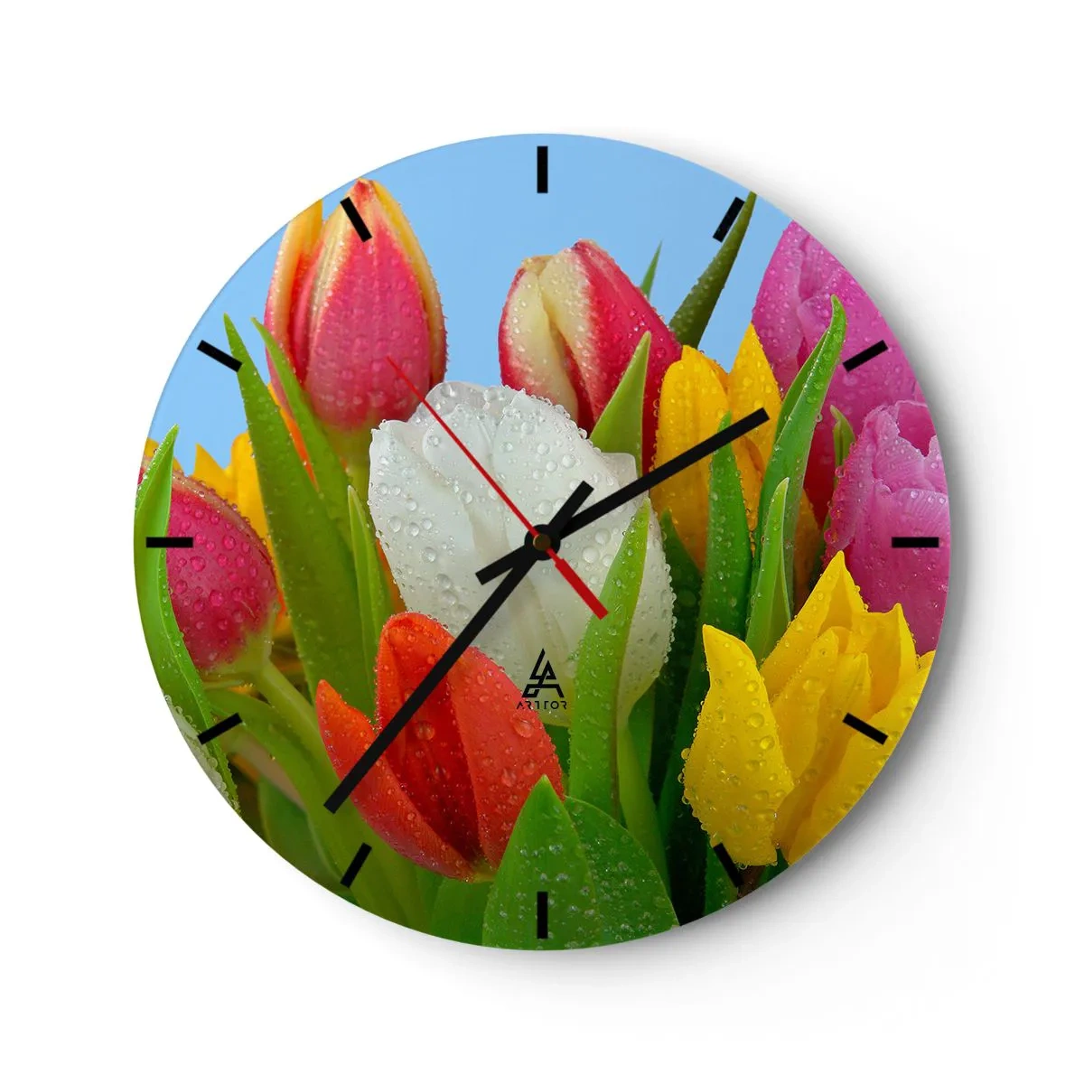 Wanduhr - Glasuhr - Bunte Tulpen mit Tautropfen bedeckt - 30x30cm - Ein blumiger Regenbogen in Tautropfen - Moderne Wanddekoration für Wohnzimmer, Küche und Schlafzimmer ARTTOR