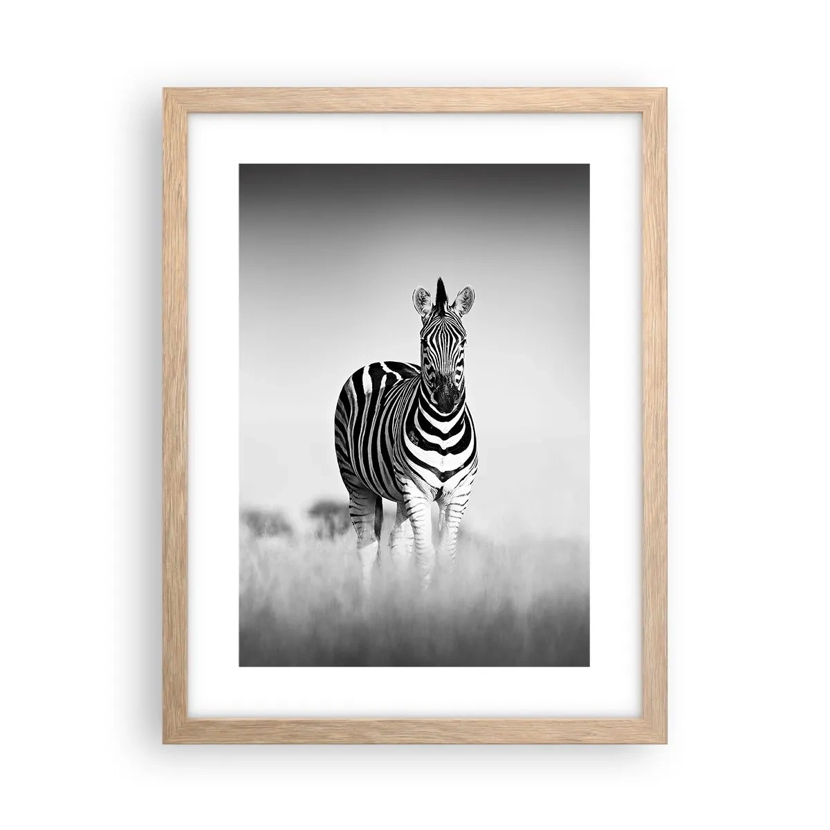 Poster in einem Rahmen aus heller Eiche - Die Welt ist doch schwarz-weiß - 30x40 cm