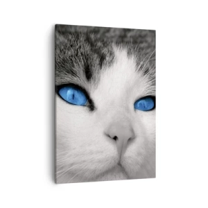 Bild auf Leinwand - Leinwandbild - Porträt einer Katze mit blauen Augen im Schwarz-Weiß-Stil - 50x70cm - Ungewöhnlich blauäugig - Moderne Wanddekoration für Wohnzimmer und Schlafzimmer ARTTOR