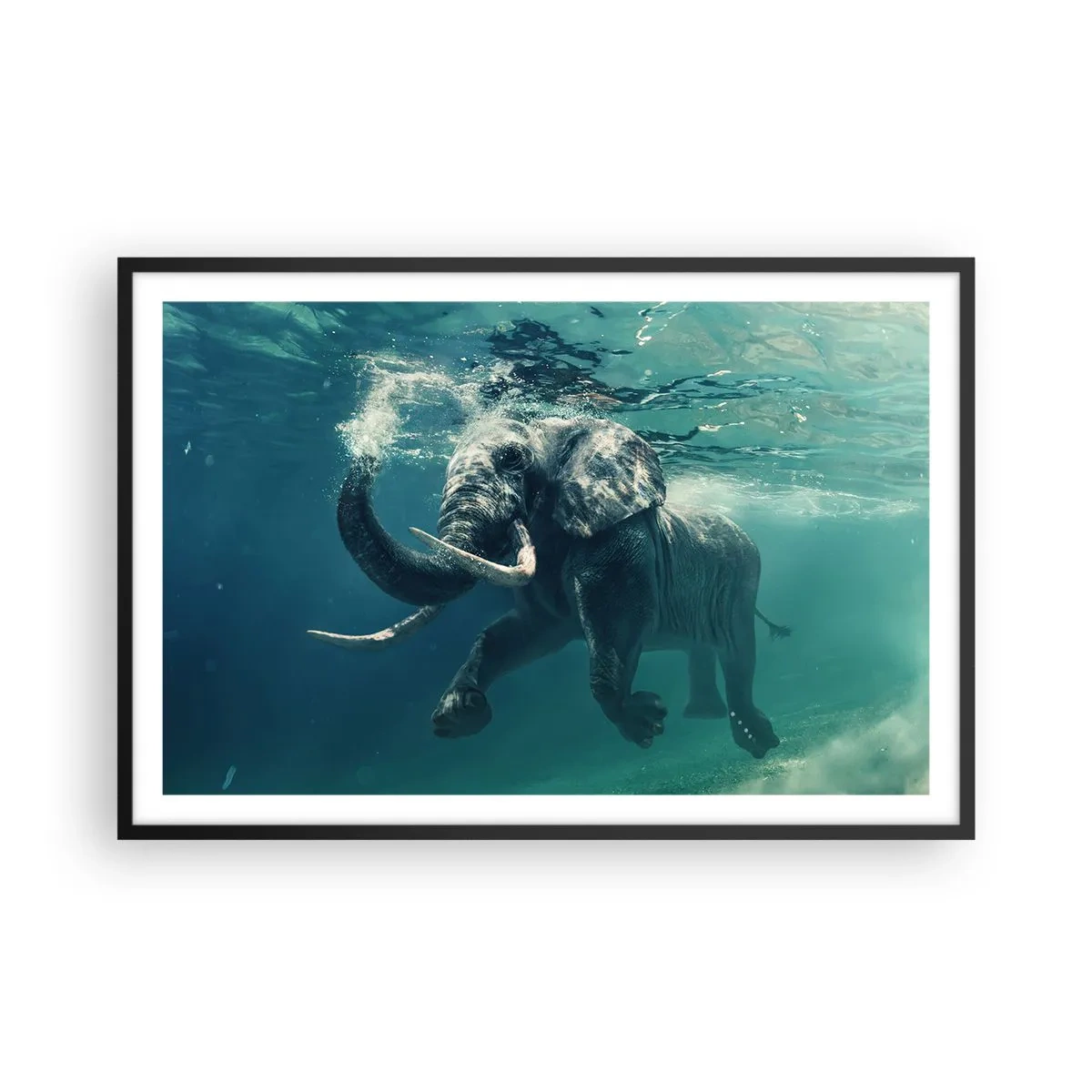 Poster in einem schwarzem Rahmen - Jeder schwimmt gerne - 91x61 cm