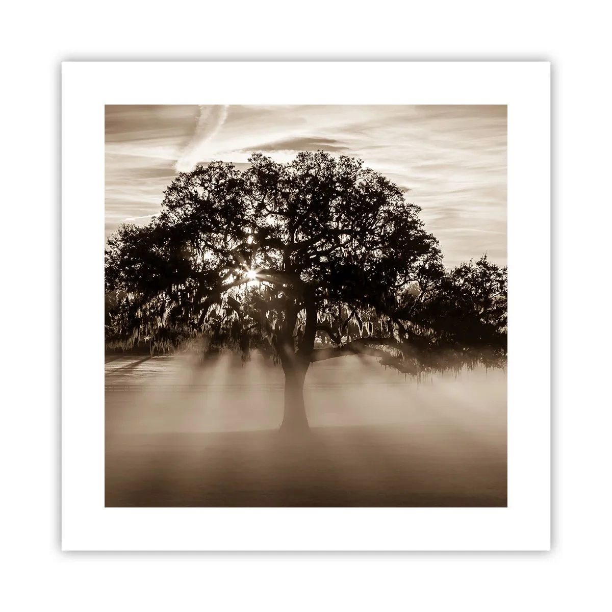Poster - Baum der guten Nachrichten  - 40x40 cm