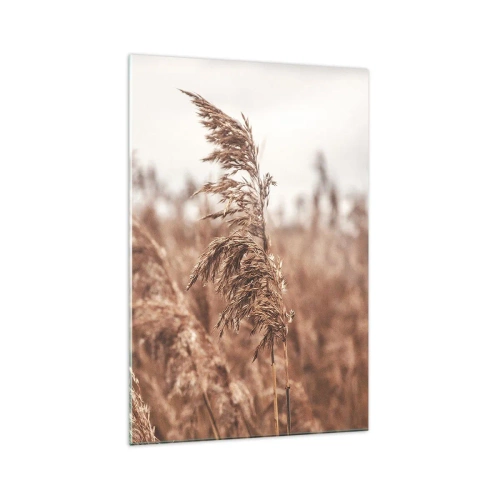 Glasbild - Bild auf glas - Goldene Gräser vor dem Hintergrund der Herbstlandschaft - 70x100cm - Auf den Feldern ist es schon Herbst - Moderne Wanddekoration für Wohnzimmer und Schlafzimmer ARTTOR