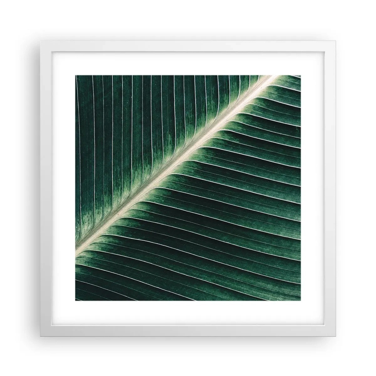 Poster in einem weißen Rahmen - Rhythmus der Natur - 40x40 cm