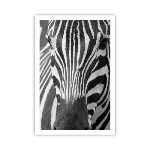 Poster - Die Welt ist schwarz und weiß - 61x91 cm