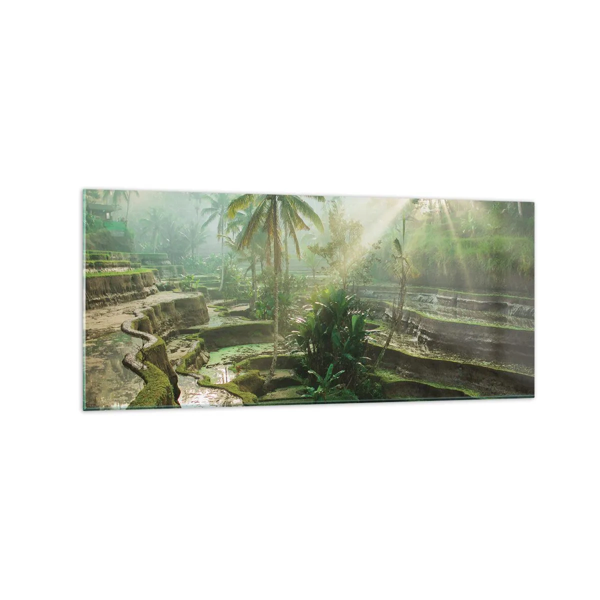 Glasbild - Bild auf glas - Reisterrassen mit Palmen in den Sonnenstrahlen - 120x50cm - In der Sonne aufwachsen - Moderne Wanddekoration für Wohnzimmer und Schlafzimmer ARTTOR