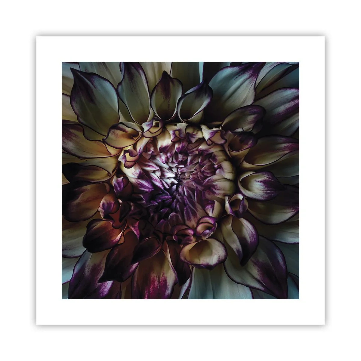 Poster - Die Blütezeit der Jugend - 40x40 cm