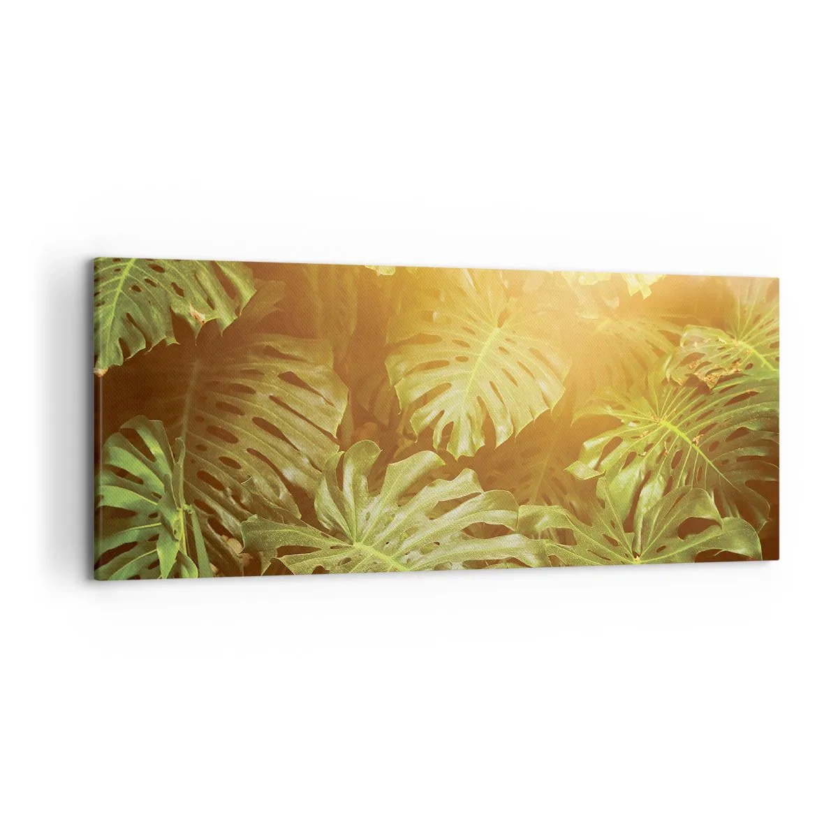 Bild auf Leinwand - Leinwandbild - Monstera-Blätter im Sonnenlicht vor einem natürlichen Hintergrund - 120x50cm - Ins Grüne tretren... - Moderne Wanddekoration für Wohnzimmer und Schlafzimmer ARTTOR