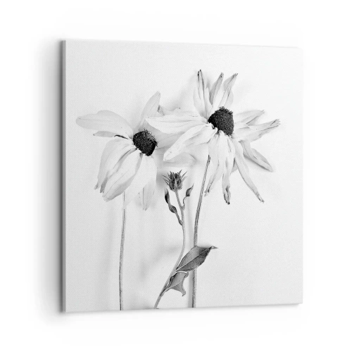 Bild auf Leinwand - Leinwandbild - Niemand will allein sein - 60x60 cm