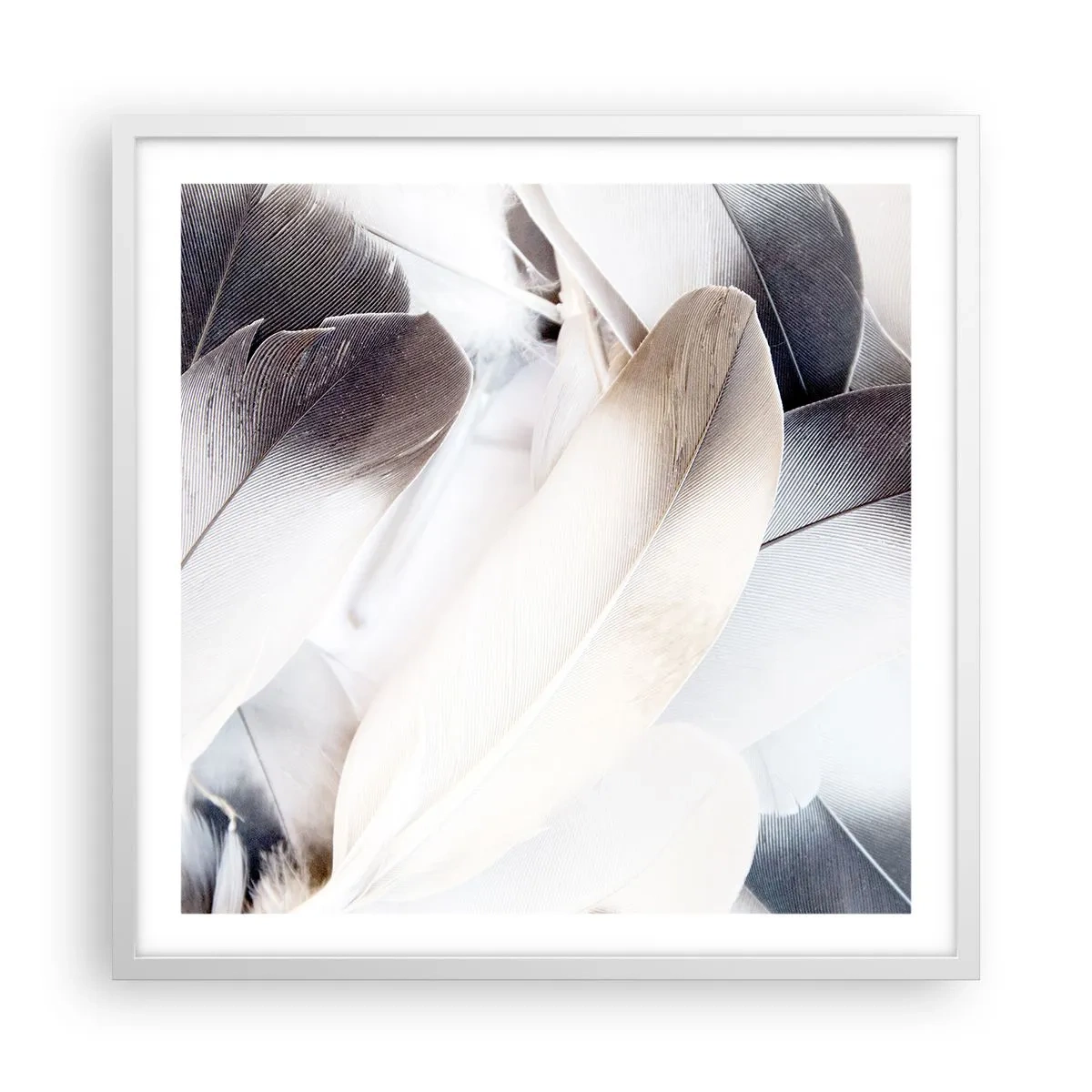 Poster in einem weißen Rahmen - Fast engelhaft - 60x60 cm