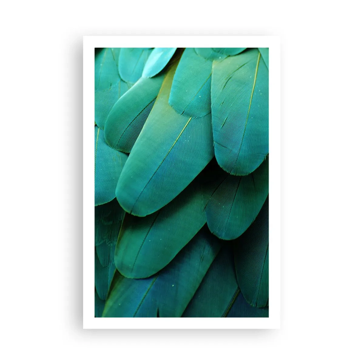 Poster - Papageienartige Präzision - 61x91 cm