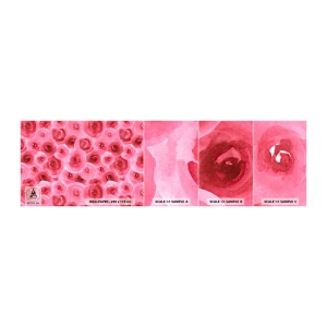 Fototapeten Muster Selbstklebend Deluxe Sticker - Oben und unten Rosen - Blumen, Schönheit, Romantik - 100x30 cm