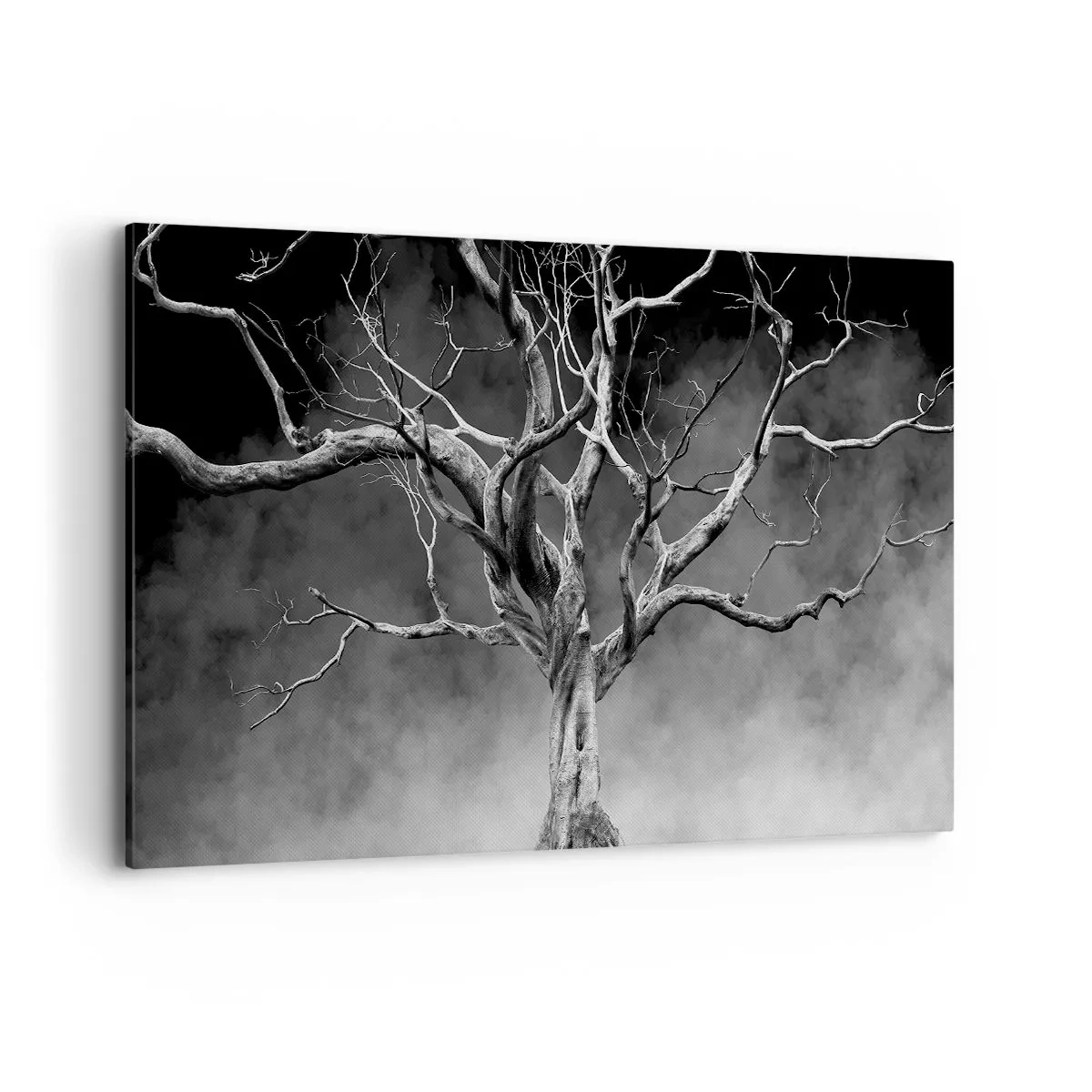 Bild auf Leinwand - Leinwandbild - Ein trockener Baum in Schwarz und Weiß gegen den Nebel - 120x80cm - Ursprünglich und heilig - Moderne Wanddekoration für Wohnzimmer und Schlafzimmer ARTTOR