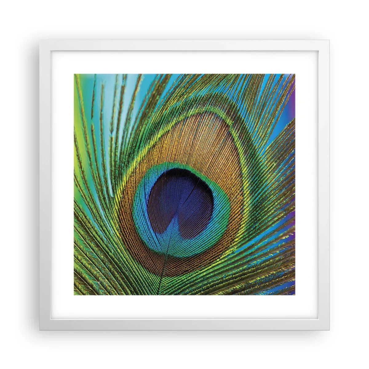 Poster in einem weißen Rahmen - Auge in Auge - 40x40 cm