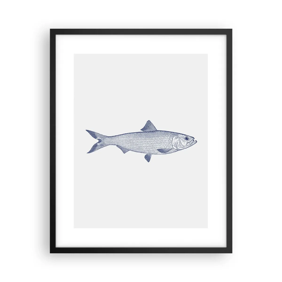 Poster in einem schwarzem Rahmen - Grüße aus den nördlichen Meeren - 40x50 cm