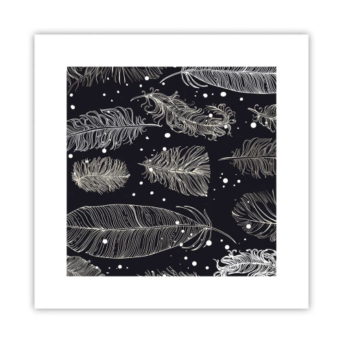 Poster - Gefiederte Spitze - 30x30 cm