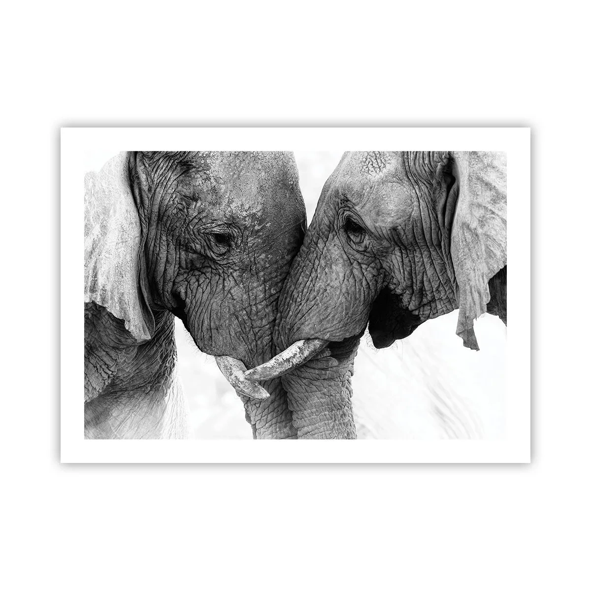 Poster - Herzliches Geständnis - 70x50 cm