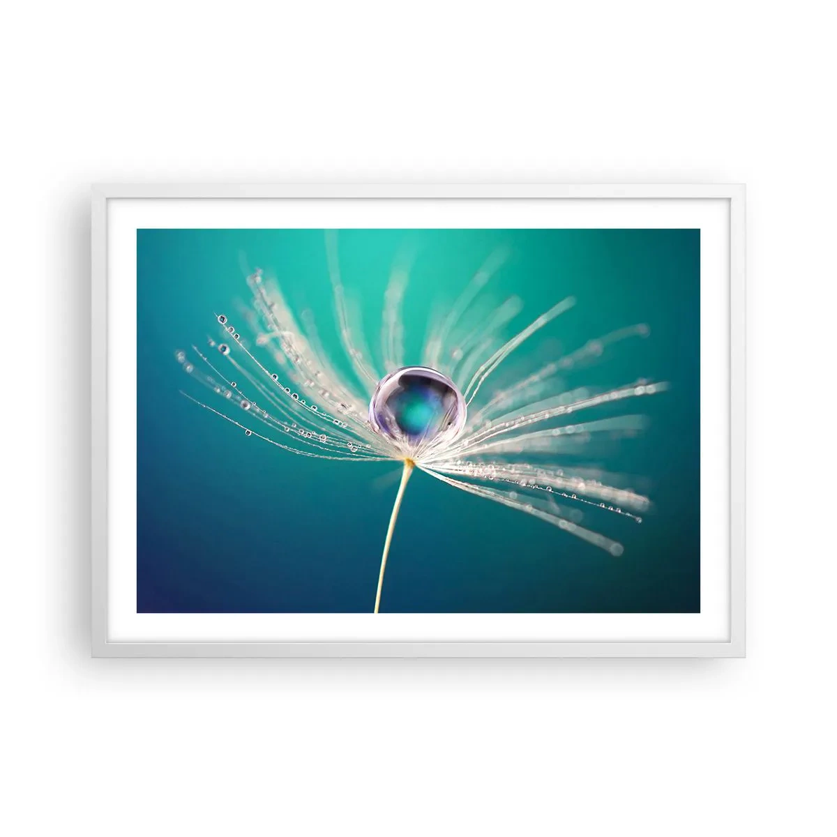 Poster in einem weißen Rahmen - Mystischer Moment - 70x50 cm