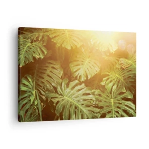 Bild auf Leinwand - Leinwandbild - Monstera-Blätter im Sonnenlicht vor einem natürlichen Hintergrund - 70x50cm - Ins Grüne tretren... - Moderne Wanddekoration für Wohnzimmer und Schlafzimmer ARTTOR