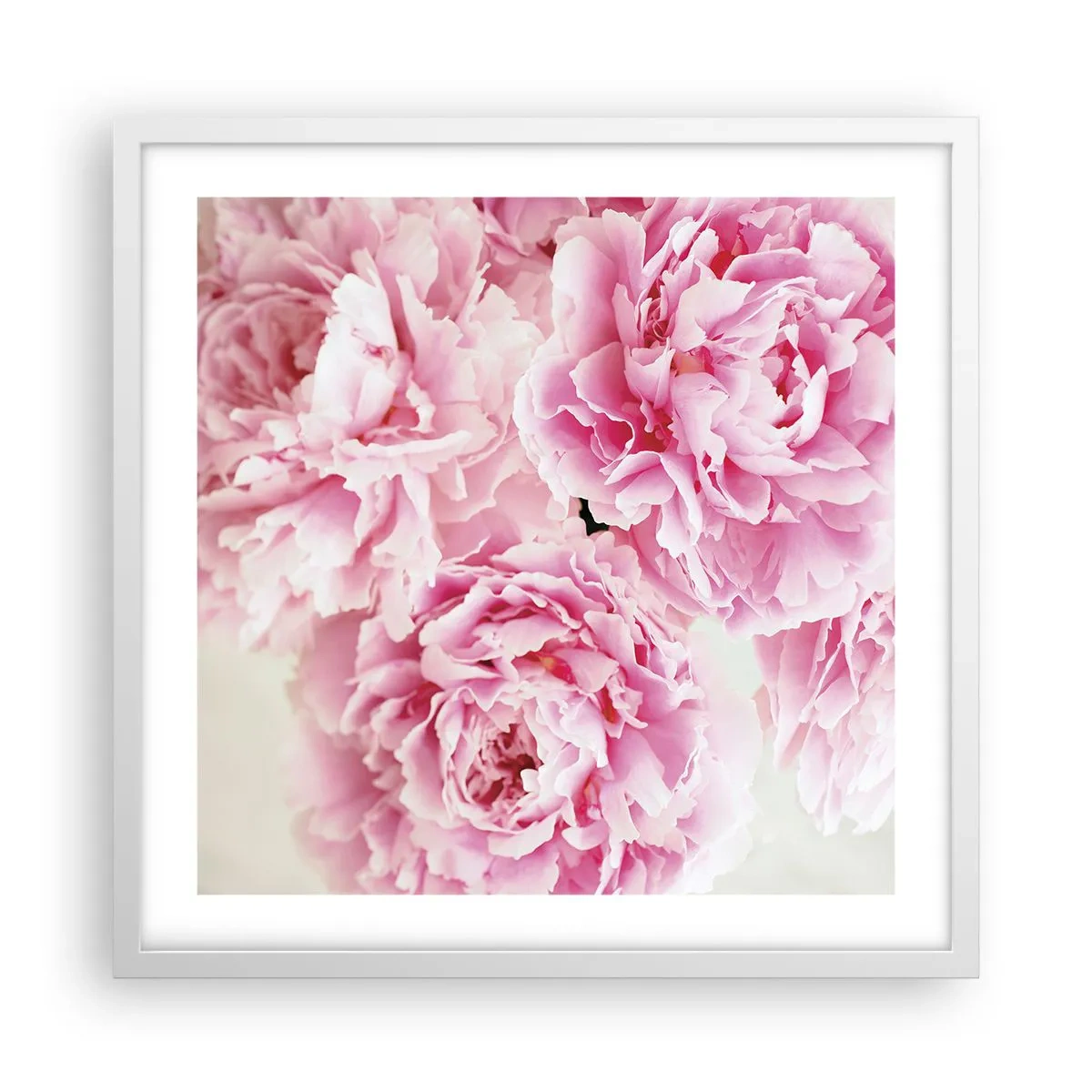 Poster in einem weißen Rahmen - In rosa Glamour - 50x50 cm