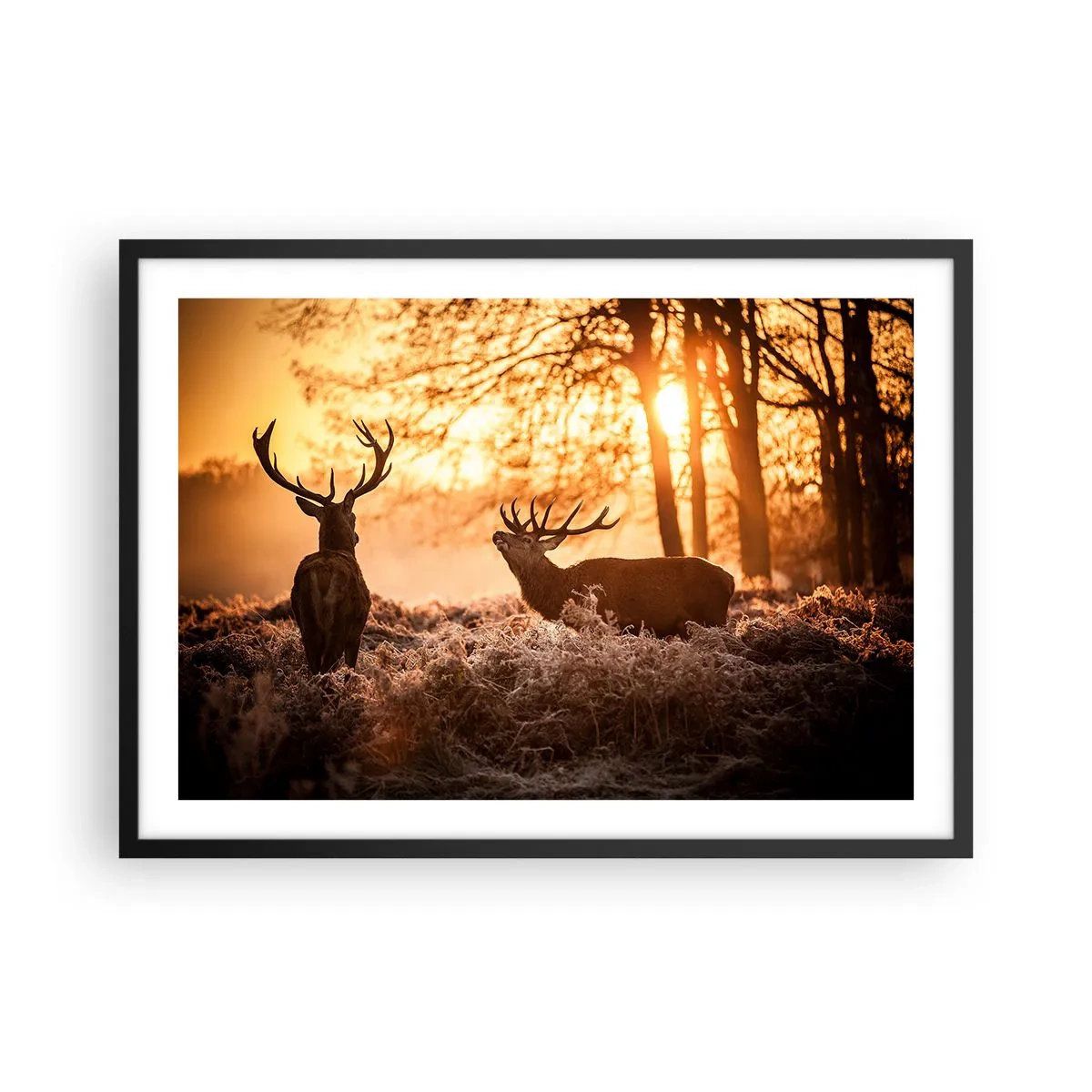 Poster in einem schwarzem Rahmen - Zwei Hirsche bei Sonnenuntergang in einer Winterlandschaft - 70x50cm - Der Traum eines Jägers - Moderne Wanddekoration für Wohnzimmer und Schlafzimmer ARTTOR